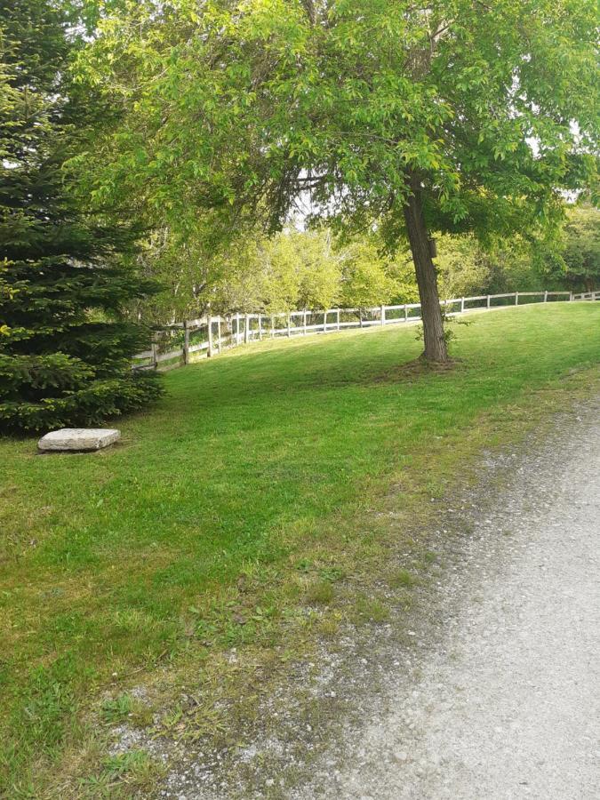 Auverg'Nature Chambre Cocon Espinasse Екстер'єр фото